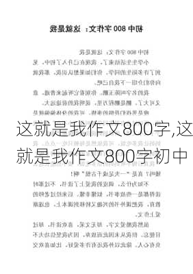 这就是我作文800字,这就是我作文800字初中-第1张图片-星梦范文网