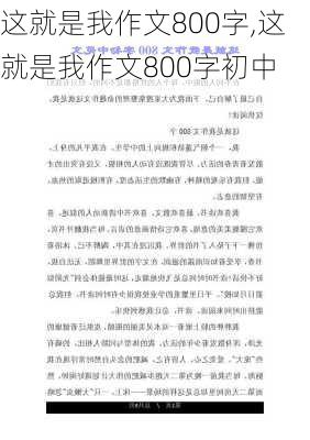 这就是我作文800字,这就是我作文800字初中-第2张图片-星梦范文网