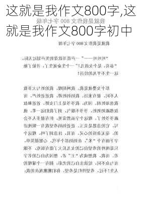 这就是我作文800字,这就是我作文800字初中-第3张图片-星梦范文网