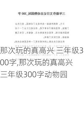 那次玩的真高兴 三年级300字,那次玩的真高兴 三年级300字动物园-第2张图片-星梦范文网