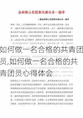 如何做一名合格的共青团员,如何做一名合格的共青团员心得体会