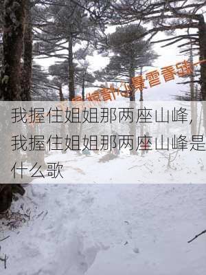 我握住姐姐那两座山峰,我握住姐姐那两座山峰是什么歌-第3张图片-星梦范文网