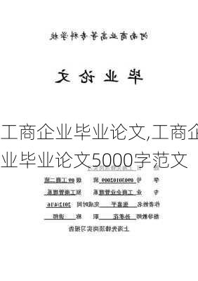 工商企业毕业论文,工商企业毕业论文5000字范文-第2张图片-星梦范文网