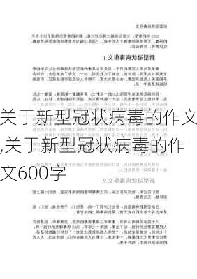 关于新型冠状病毒的作文,关于新型冠状病毒的作文600字-第3张图片-星梦范文网