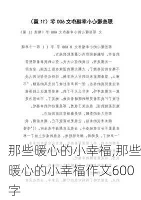 那些暖心的小幸福,那些暖心的小幸福作文600字