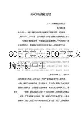 800字美文,800字美文摘抄初中生