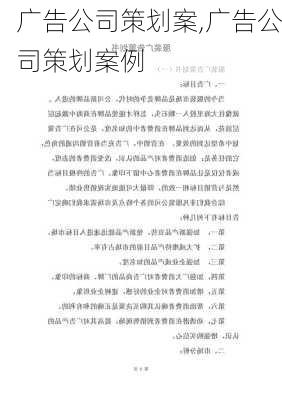 广告公司策划案,广告公司策划案例