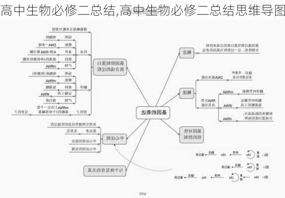 高中生物必修二总结,高中生物必修二总结思维导图-第2张图片-星梦范文网