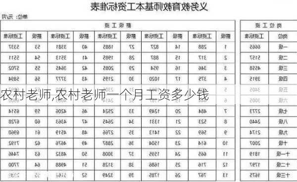 农村老师,农村老师一个月工资多少钱-第2张图片-星梦范文网