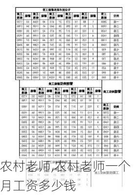 农村老师,农村老师一个月工资多少钱-第3张图片-星梦范文网