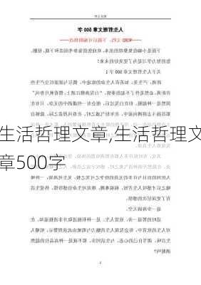 生活哲理文章,生活哲理文章500字-第2张图片-星梦范文网