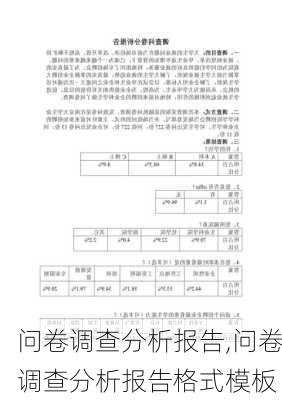 问卷调查分析报告,问卷调查分析报告格式模板