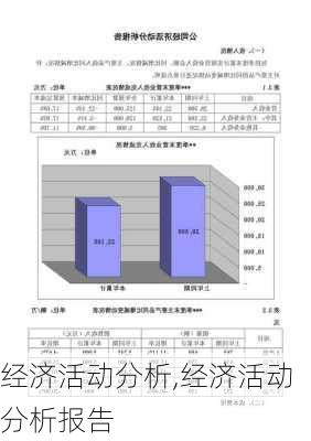 经济活动分析,经济活动分析报告