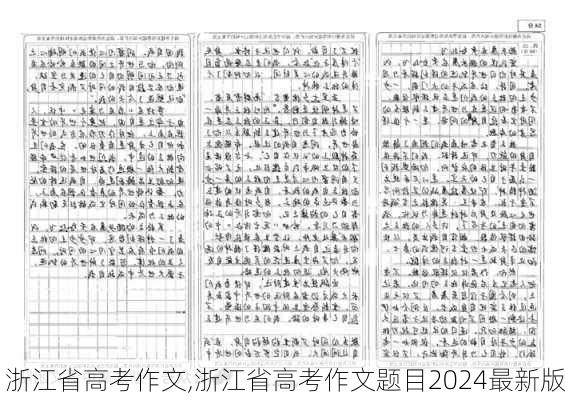 浙江省高考作文,浙江省高考作文题目2024最新版-第2张图片-星梦范文网