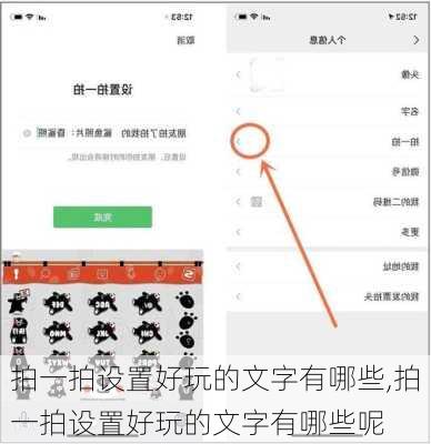 拍一拍设置好玩的文字有哪些,拍一拍设置好玩的文字有哪些呢