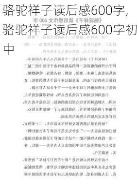 骆驼祥子读后感600字,骆驼祥子读后感600字初中-第3张图片-星梦范文网