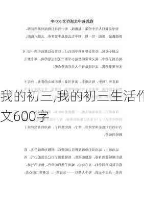 我的初三,我的初三生活作文600字-第1张图片-星梦范文网