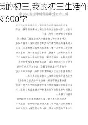 我的初三,我的初三生活作文600字-第2张图片-星梦范文网