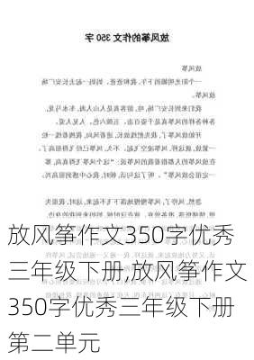 放风筝作文350字优秀三年级下册,放风筝作文350字优秀三年级下册第二单元-第2张图片-星梦范文网