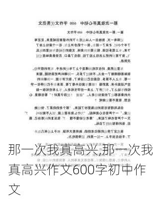 那一次我真高兴,那一次我真高兴作文600字初中作文-第3张图片-星梦范文网