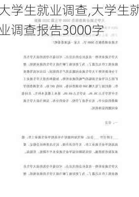 大学生就业调查,大学生就业调查报告3000字