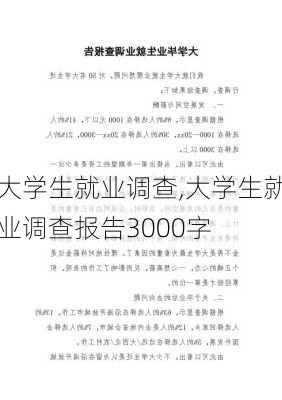 大学生就业调查,大学生就业调查报告3000字-第3张图片-星梦范文网