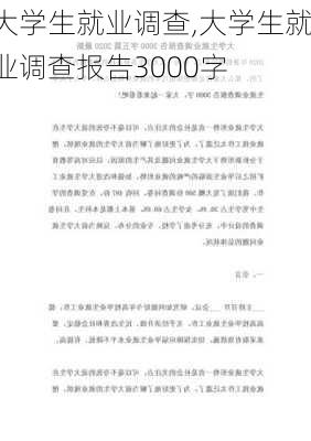 大学生就业调查,大学生就业调查报告3000字