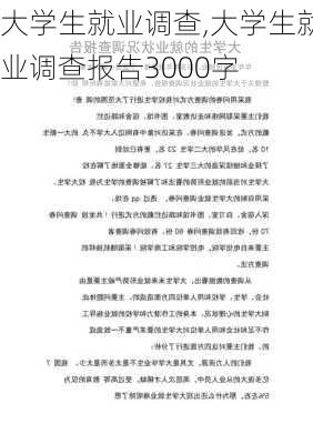 大学生就业调查,大学生就业调查报告3000字-第2张图片-星梦范文网