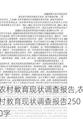 农村教育现状调查报告,农村教育现状调查报告2500字-第2张图片-星梦范文网