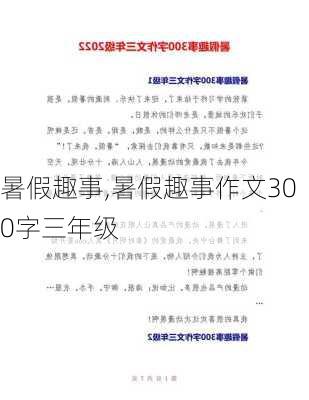 暑假趣事,暑假趣事作文300字三年级