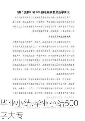 毕业小结,毕业小结500字大专