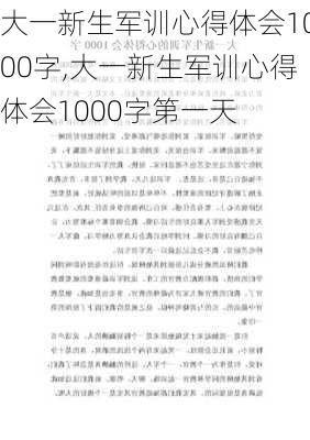 大一新生军训心得体会1000字,大一新生军训心得体会1000字第一天