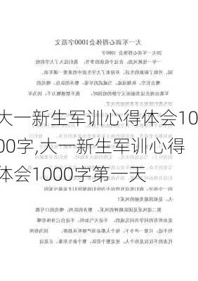 大一新生军训心得体会1000字,大一新生军训心得体会1000字第一天-第2张图片-星梦范文网