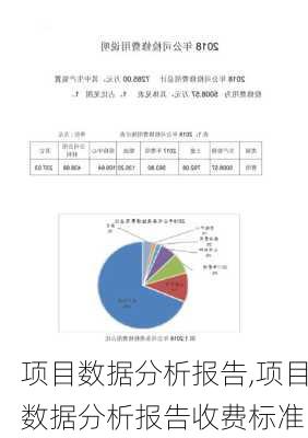 项目数据分析报告,项目数据分析报告收费标准-第2张图片-星梦范文网