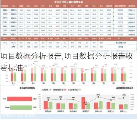 项目数据分析报告,项目数据分析报告收费标准-第3张图片-星梦范文网