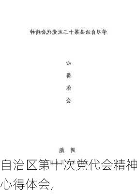 自治区第十次党代会精神心得体会,-第3张图片-星梦范文网