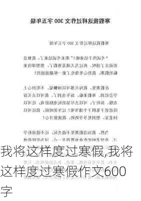 我将这样度过寒假,我将这样度过寒假作文600字-第2张图片-星梦范文网