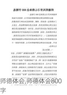 师德体会,师德体会800字