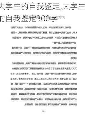 大学生的自我鉴定,大学生的自我鉴定300字-第2张图片-星梦范文网