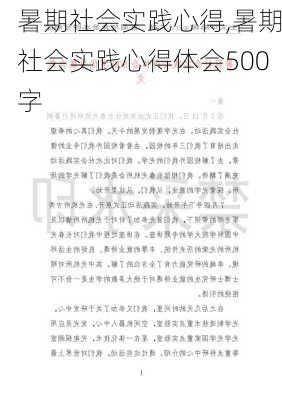 暑期社会实践心得,暑期社会实践心得体会500字-第3张图片-星梦范文网