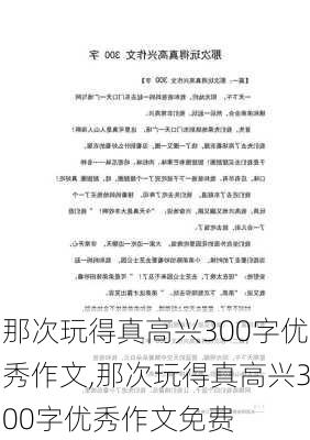 那次玩得真高兴300字优秀作文,那次玩得真高兴300字优秀作文免费