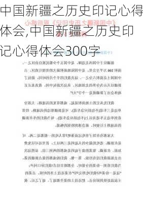 中国新疆之历史印记心得体会,中国新疆之历史印记心得体会300字