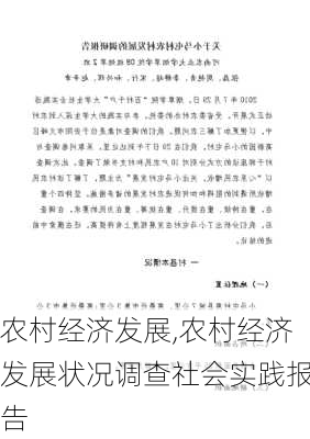 农村经济发展,农村经济发展状况调查社会实践报告-第3张图片-星梦范文网