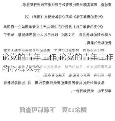 论党的青年工作,论党的青年工作的心得体会