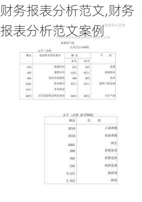 财务报表分析范文,财务报表分析范文案例