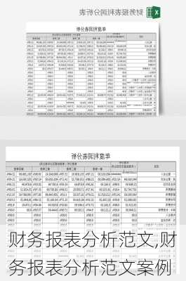 财务报表分析范文,财务报表分析范文案例-第2张图片-星梦范文网