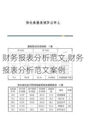 财务报表分析范文,财务报表分析范文案例-第3张图片-星梦范文网