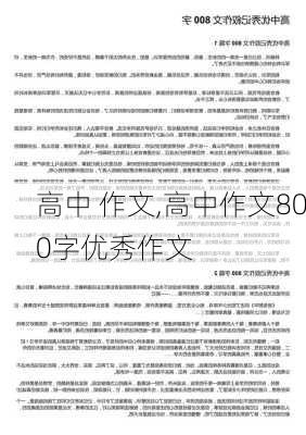 高中 作文,高中作文800字优秀作文-第2张图片-星梦范文网