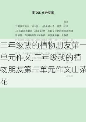 三年级我的植物朋友第一单元作文,三年级我的植物朋友第一单元作文山茶花-第2张图片-星梦范文网