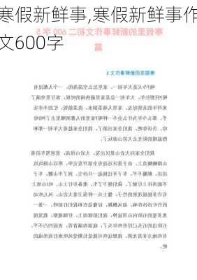 寒假新鲜事,寒假新鲜事作文600字